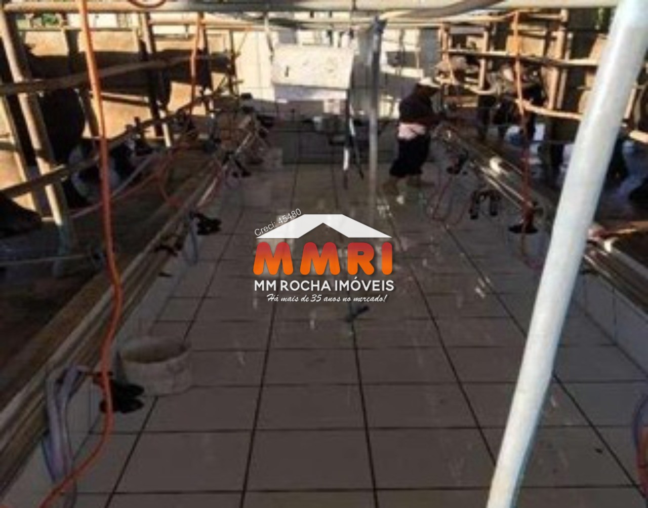 Fazenda à venda com 1 quarto, 123m² - Foto 6