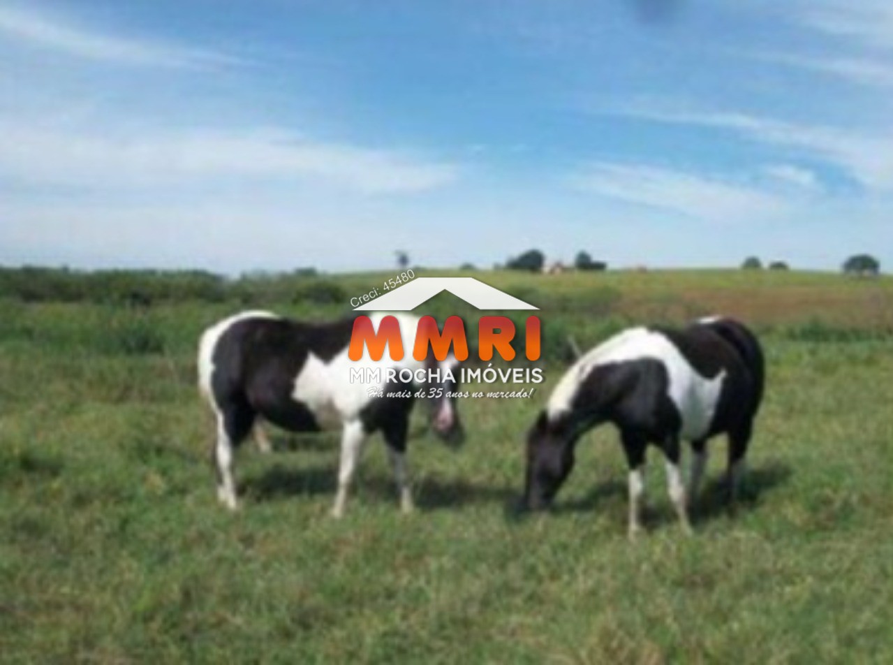 Fazenda à venda com 1 quarto, 123m² - Foto 25