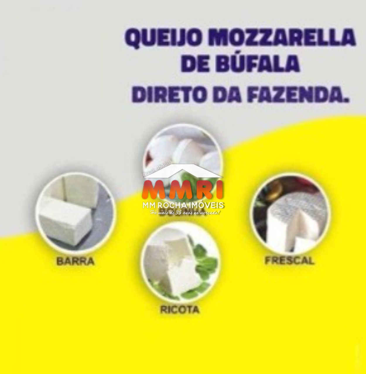 Fazenda à venda com 1 quarto, 123m² - Foto 31