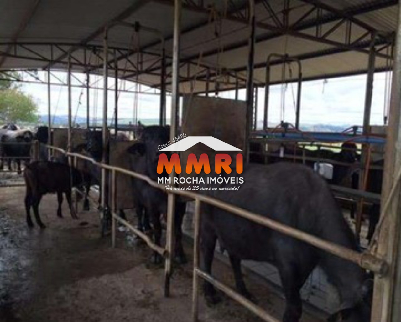 Fazenda à venda com 1 quarto, 123m² - Foto 9