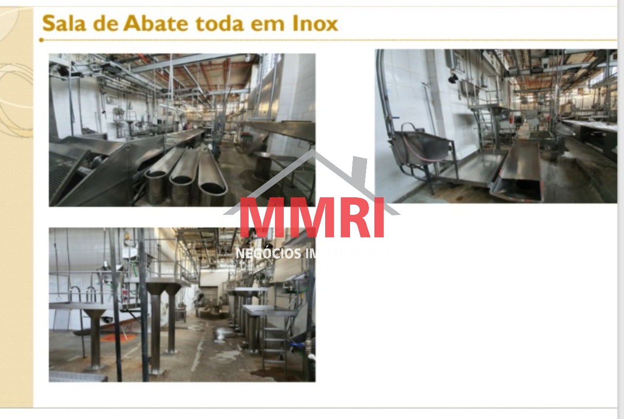 Fazenda à venda com 2 quartos, 5000m² - Foto 11