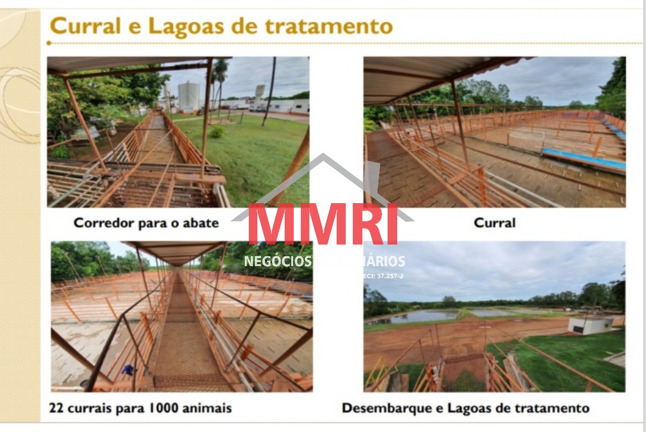 Fazenda à venda com 2 quartos, 5000m² - Foto 9