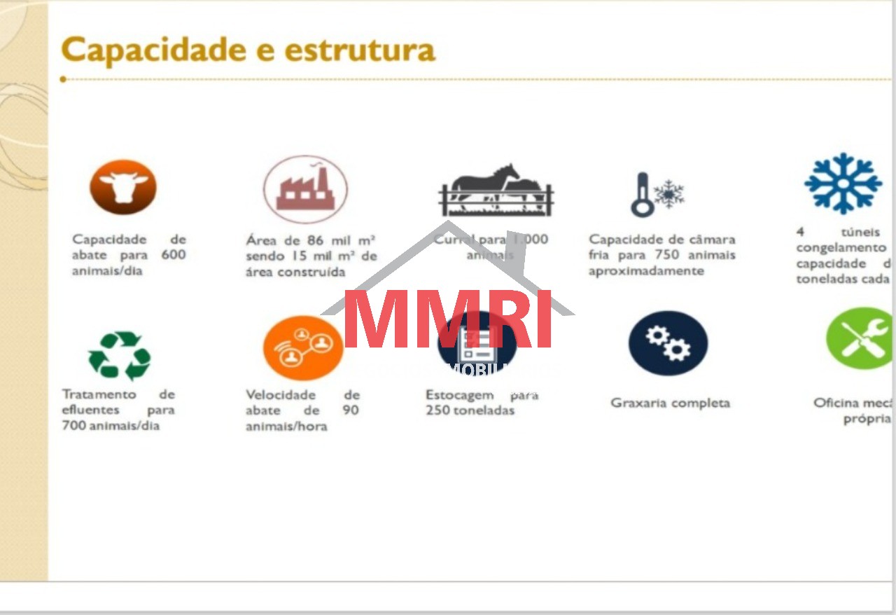 Fazenda à venda com 2 quartos, 5000m² - Foto 3