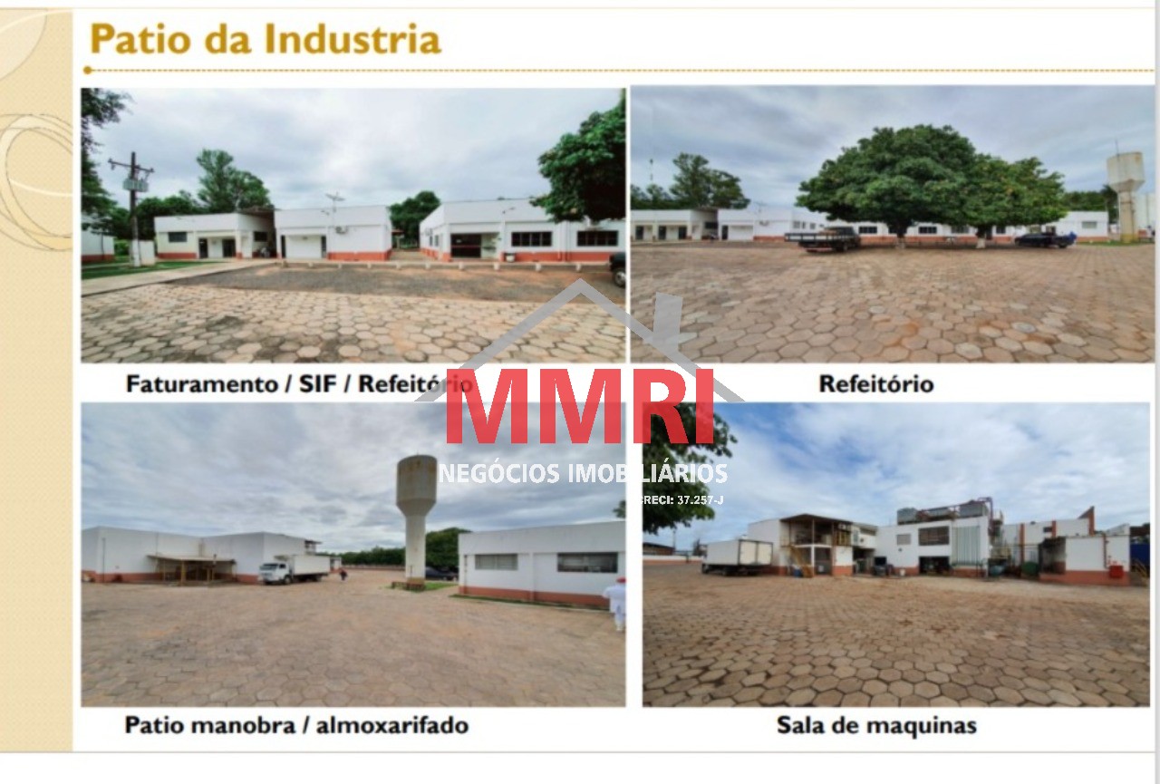 Fazenda à venda com 2 quartos, 5000m² - Foto 8