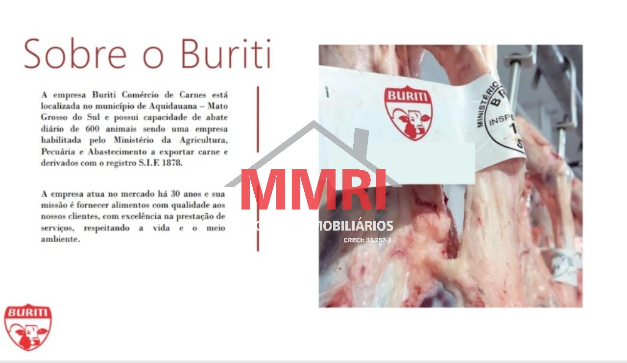 Fazenda, 9 hectares - Foto 7