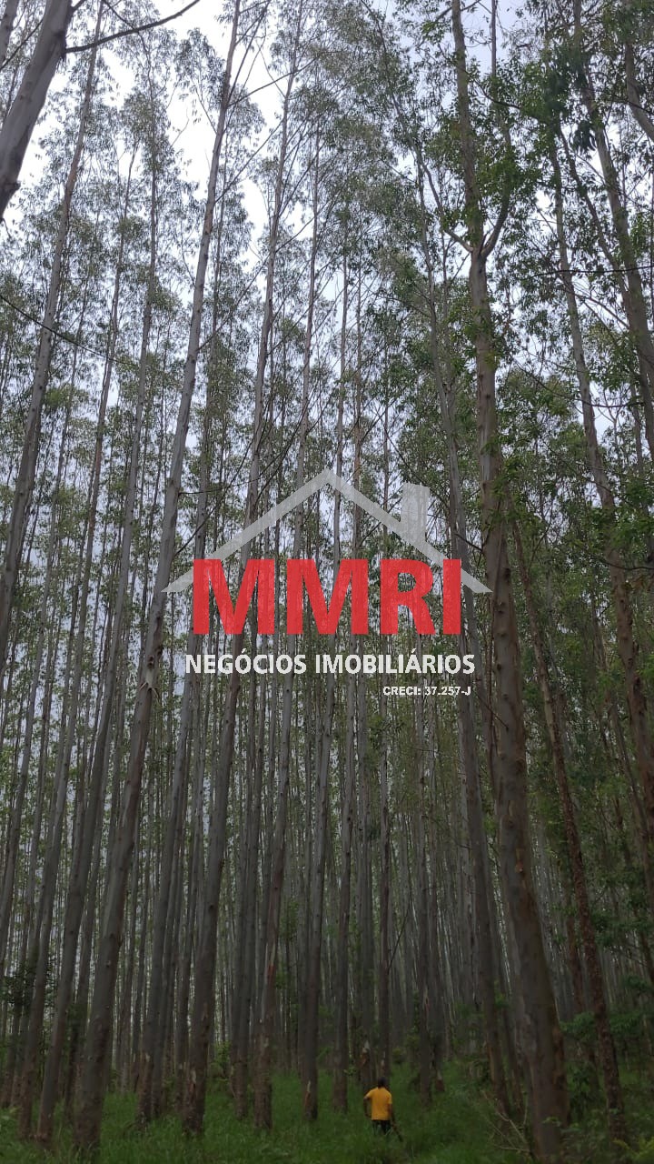 Fazenda, 134 m² - Foto 3