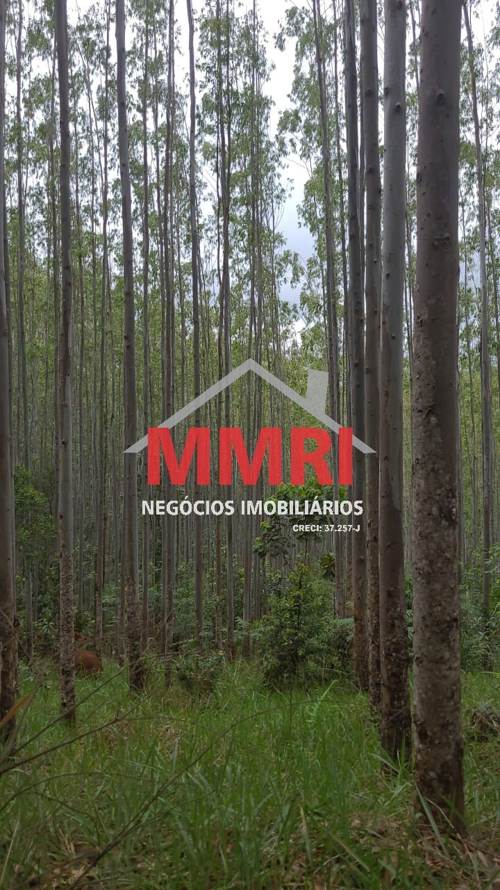 Fazenda, 134 m² - Foto 11