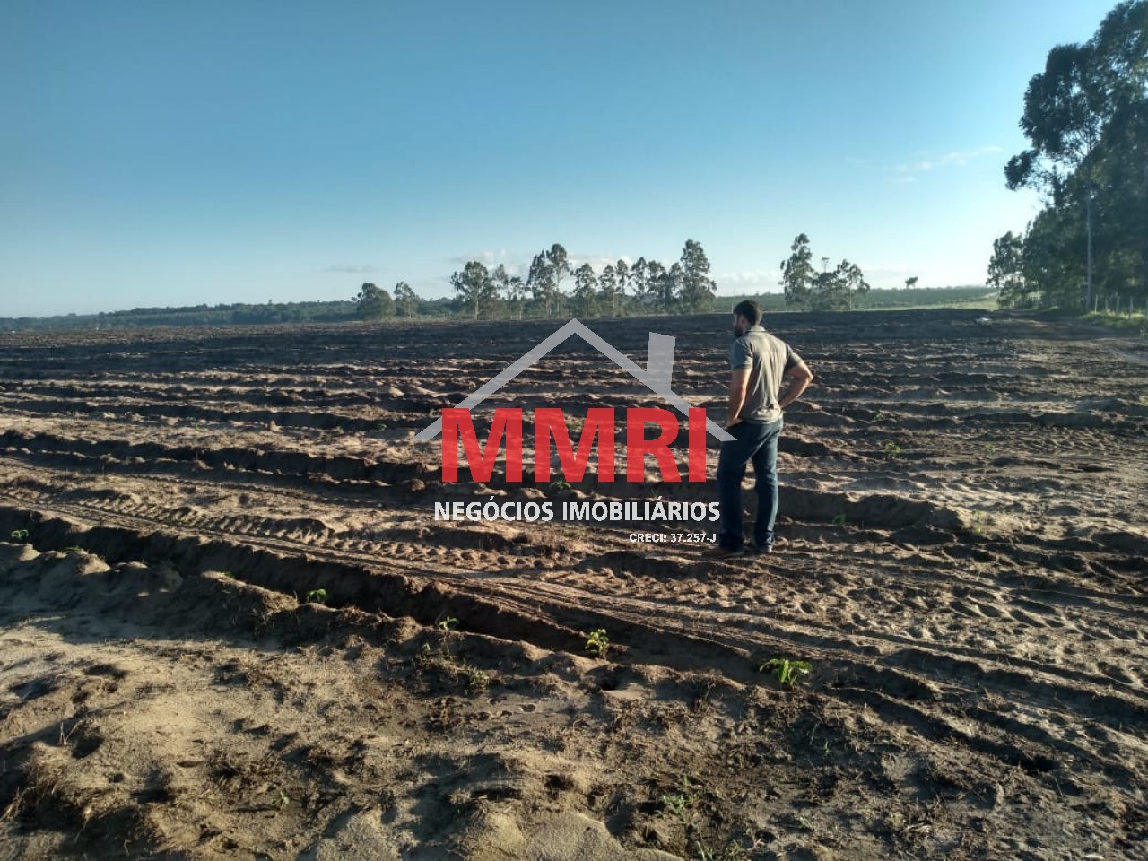 Fazenda à venda com 8 quartos - Foto 6