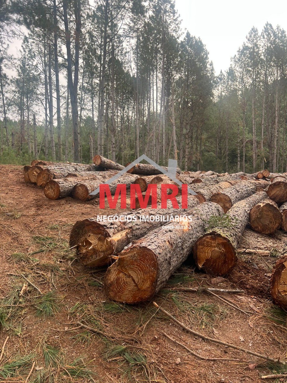 Fazenda, 134 m² - Foto 8