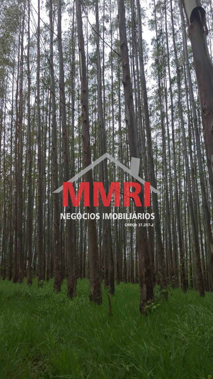 Fazenda, 134 m² - Foto 5