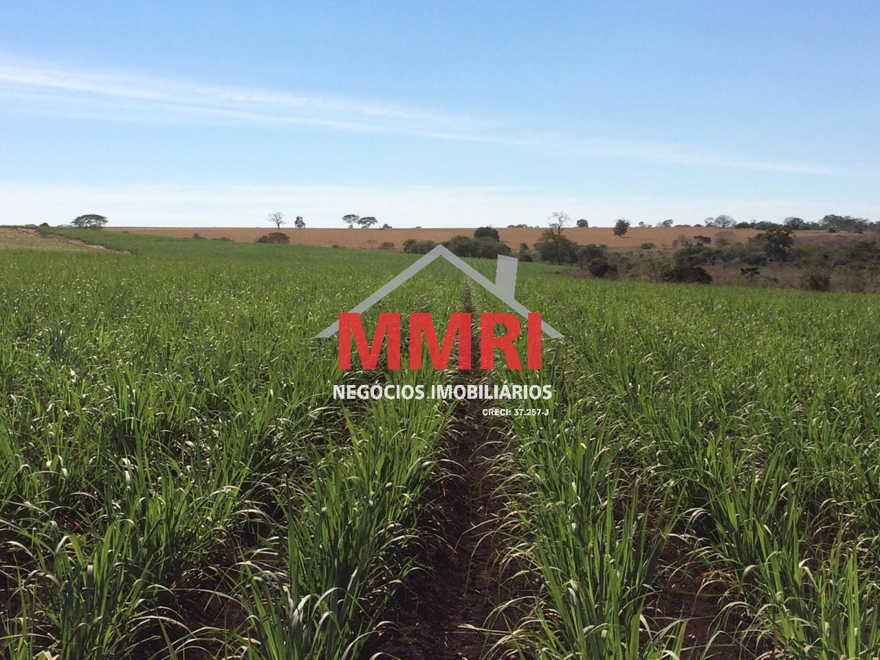 Fazenda, 753 m² - Foto 8