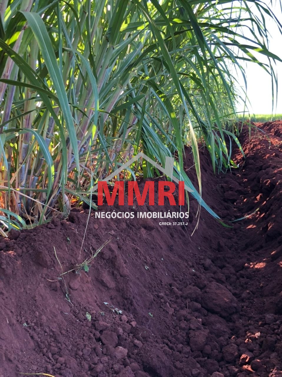 Fazenda, 753 m² - Foto 3