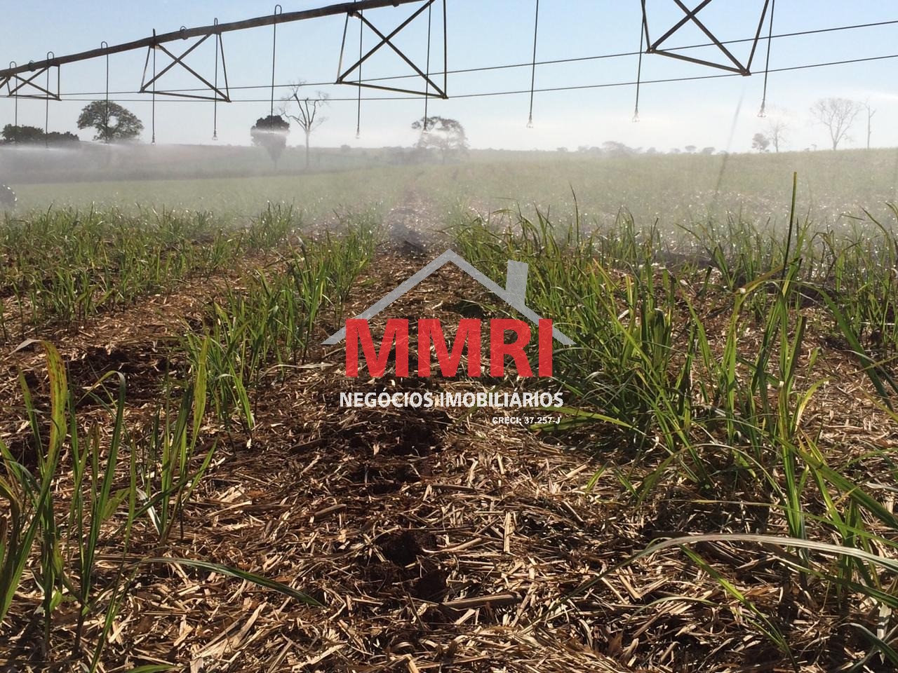 Fazenda, 753 m² - Foto 2