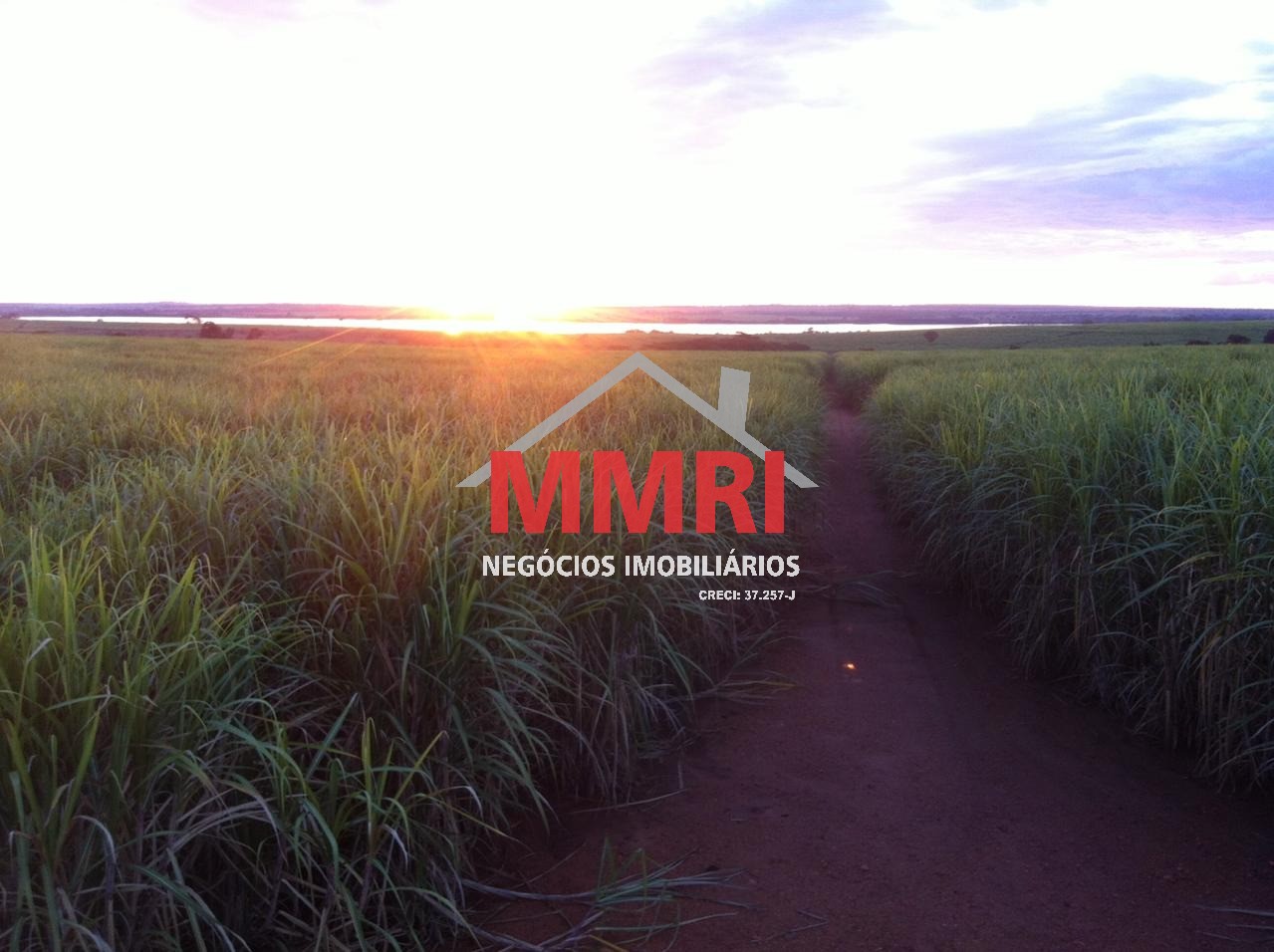 Fazenda, 753 m² - Foto 9