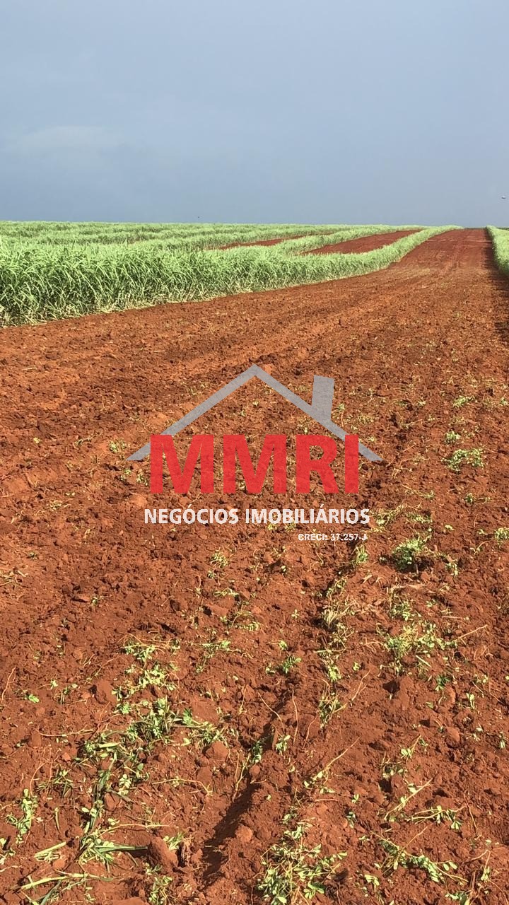 Fazenda, 753 m² - Foto 4