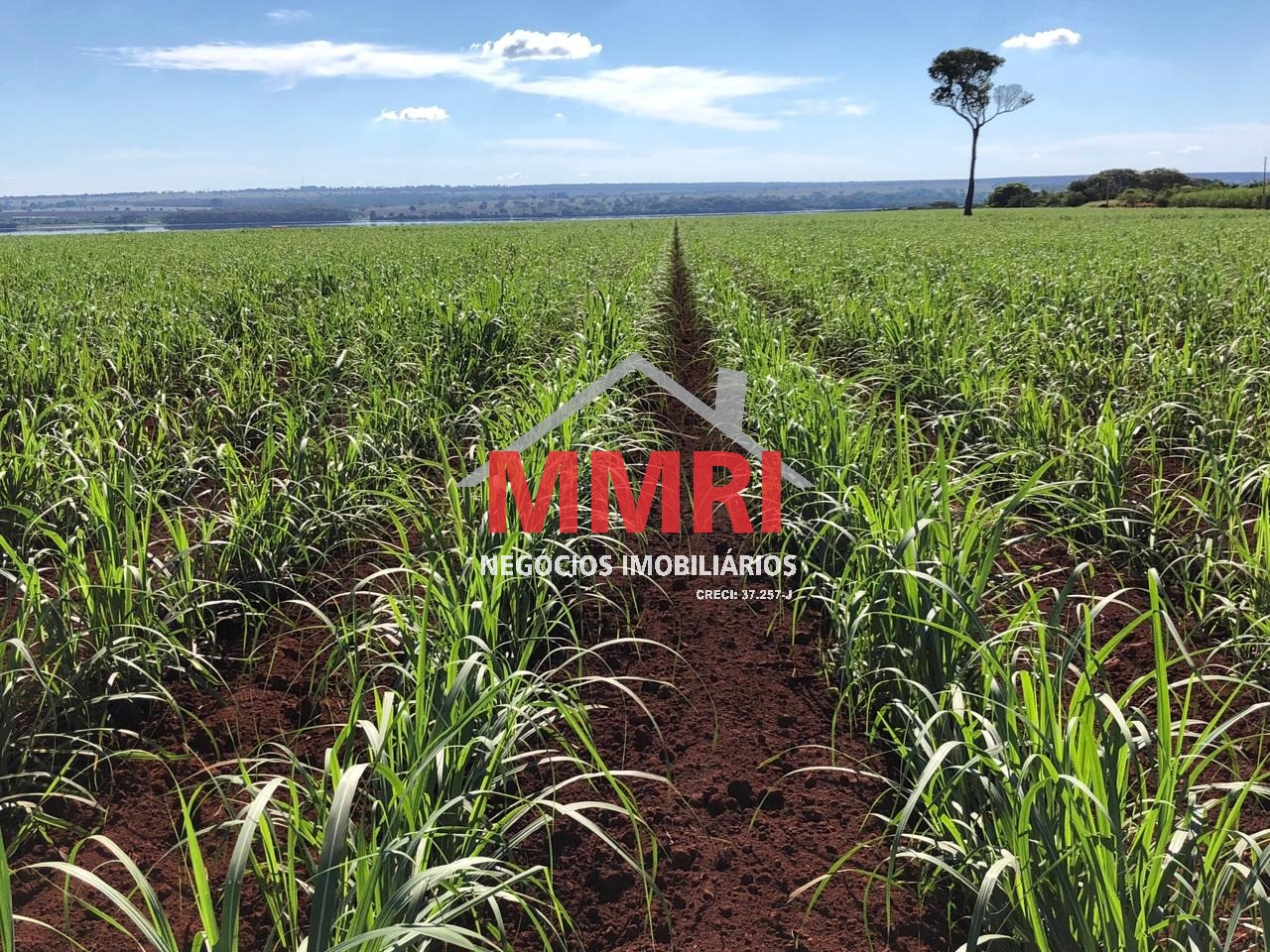 Fazenda, 753 m² - Foto 5