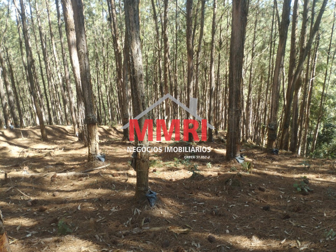 Fazenda, 100 m² - Foto 1