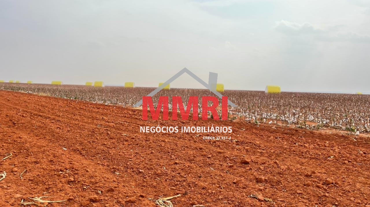 Fazenda à venda, 24500m² - Foto 10