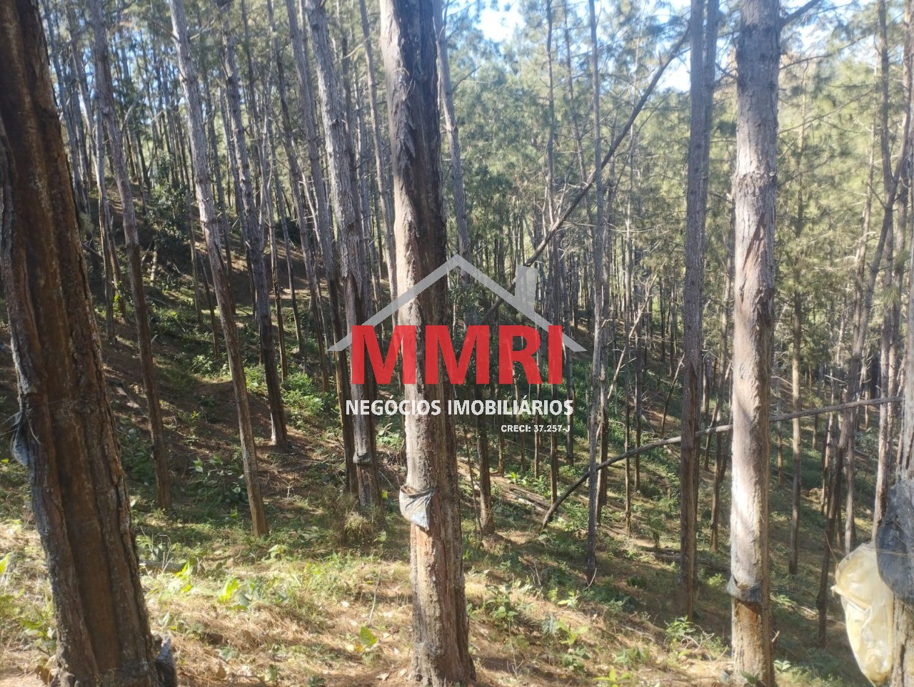 Fazenda, 100 m² - Foto 5