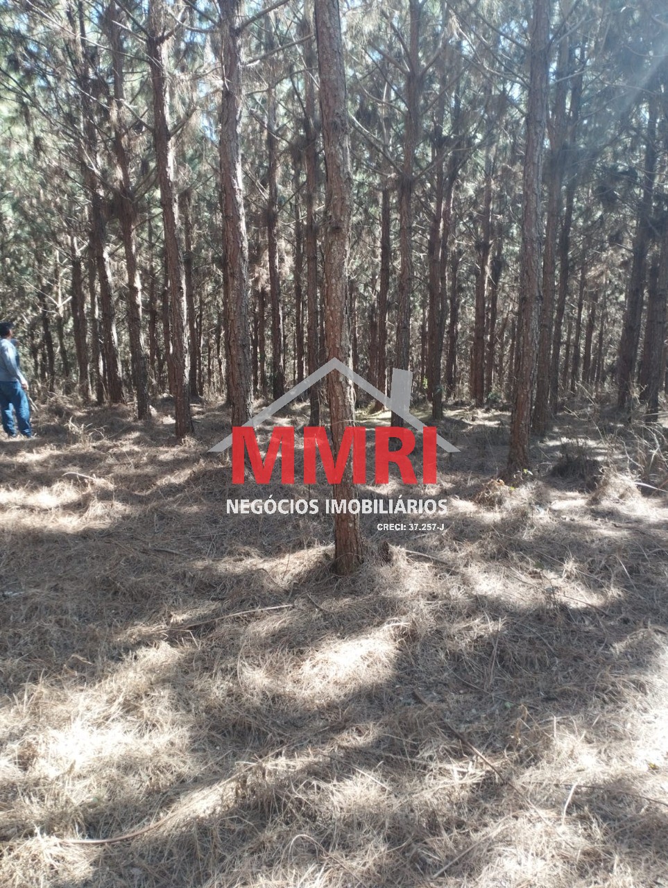 Fazenda, 100 m² - Foto 2