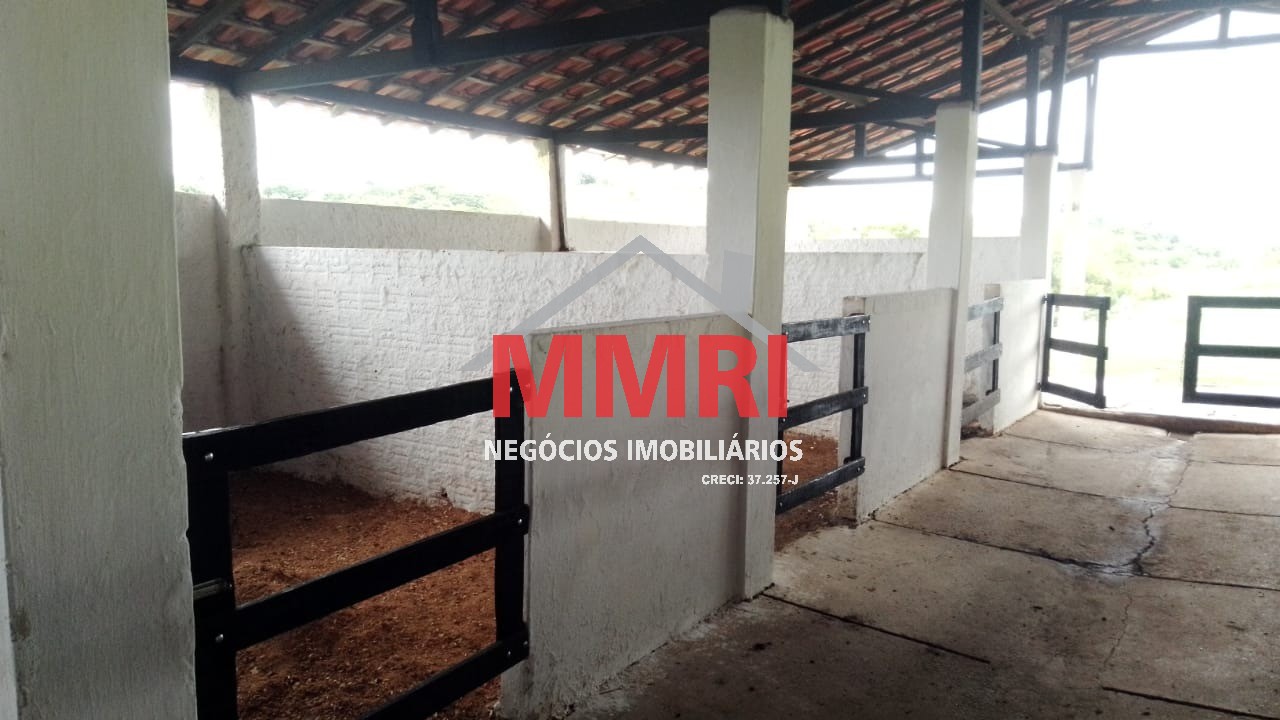 Haras e Área Rural Padrão para alugar com 3 quartos - Foto 6