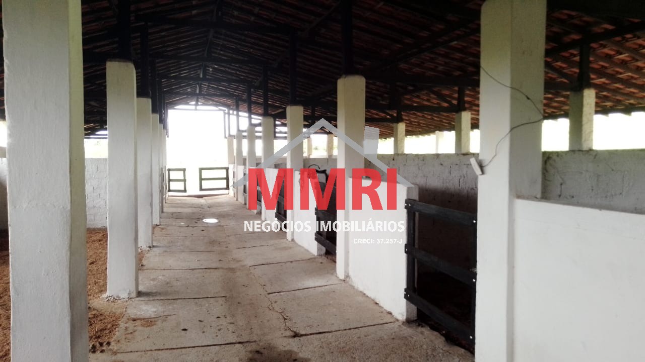 Haras e Área Rural Padrão para alugar com 3 quartos - Foto 3