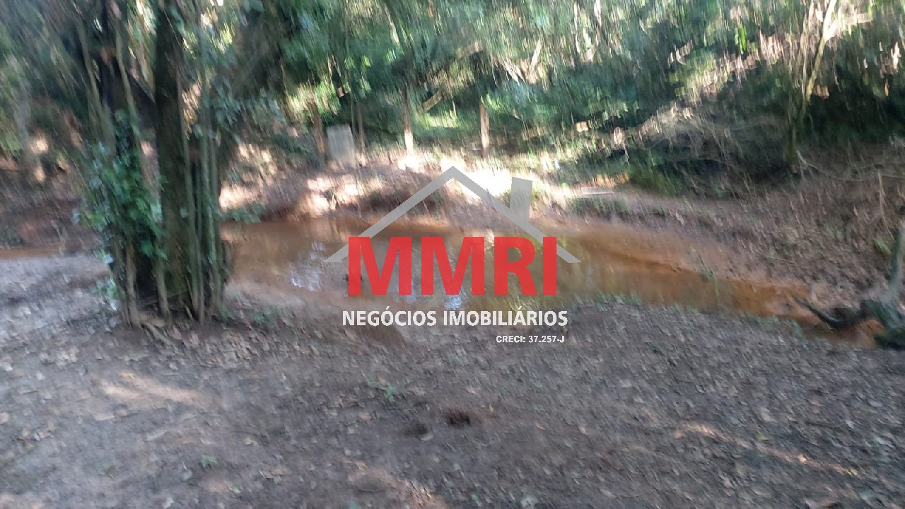 Chácara, 4 quartos, 3218 m² - Foto 103