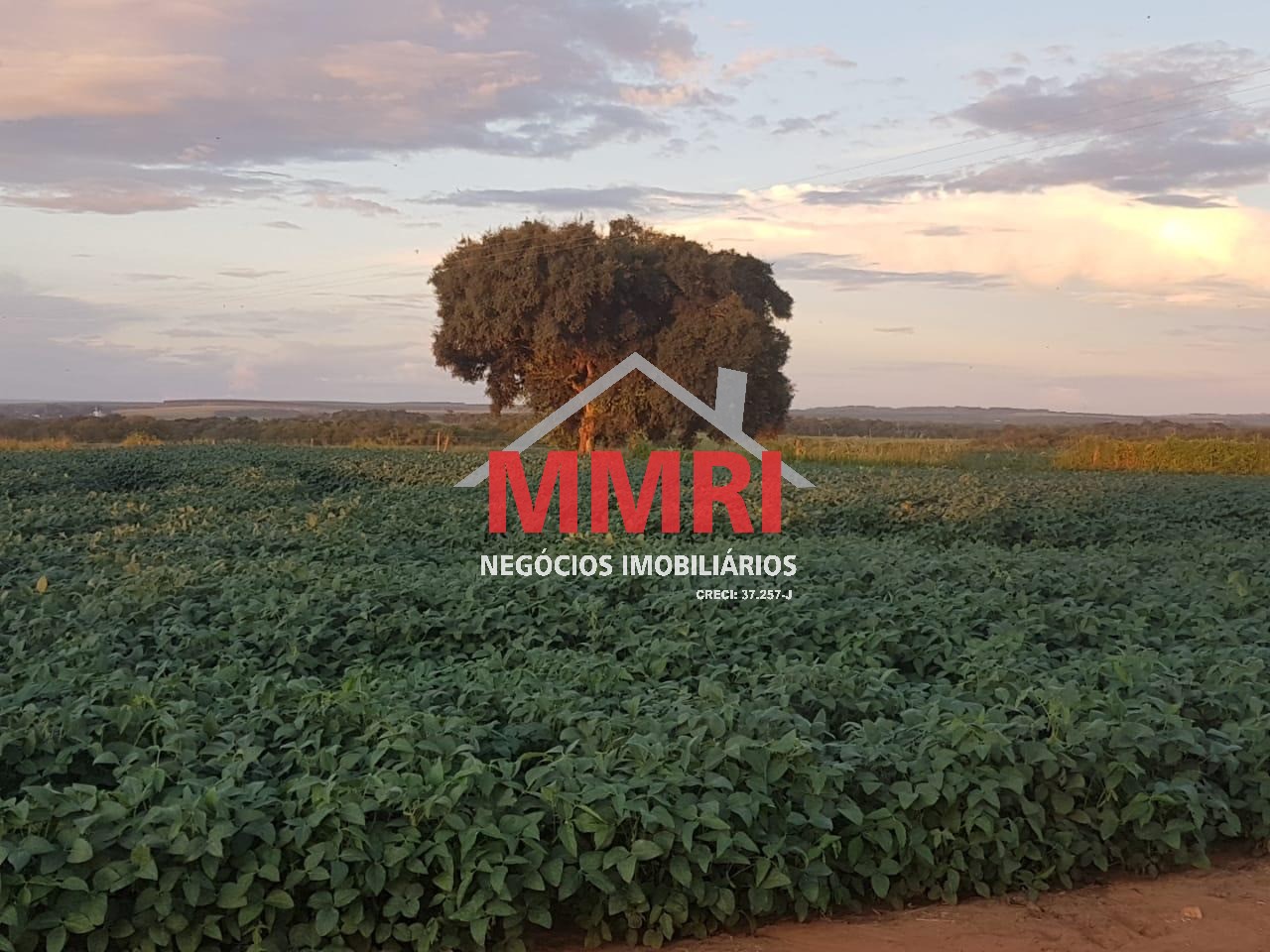 Fazenda, 893 m² - Foto 19