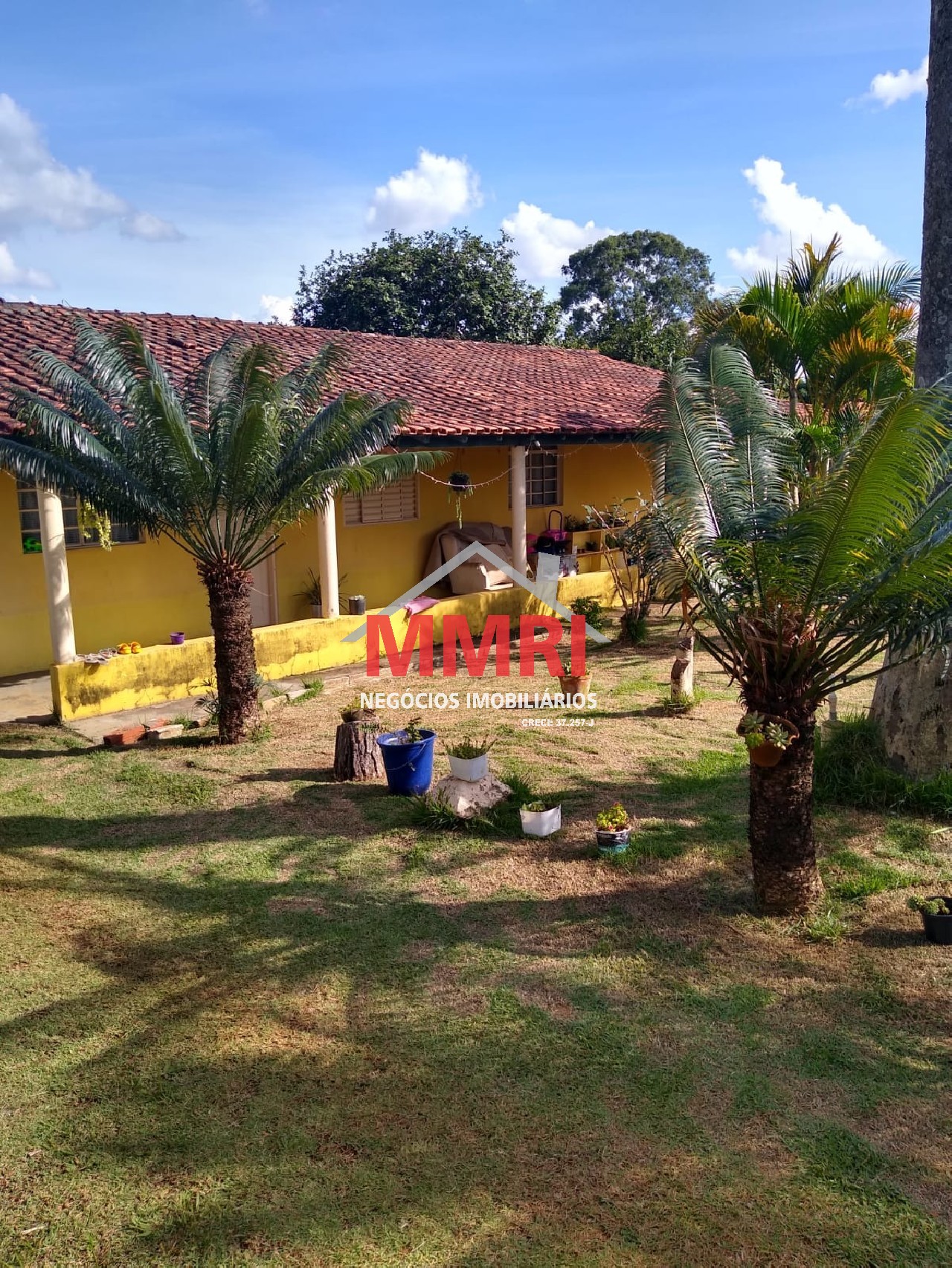 Chácara, 4 quartos, 3218 m² - Foto 94