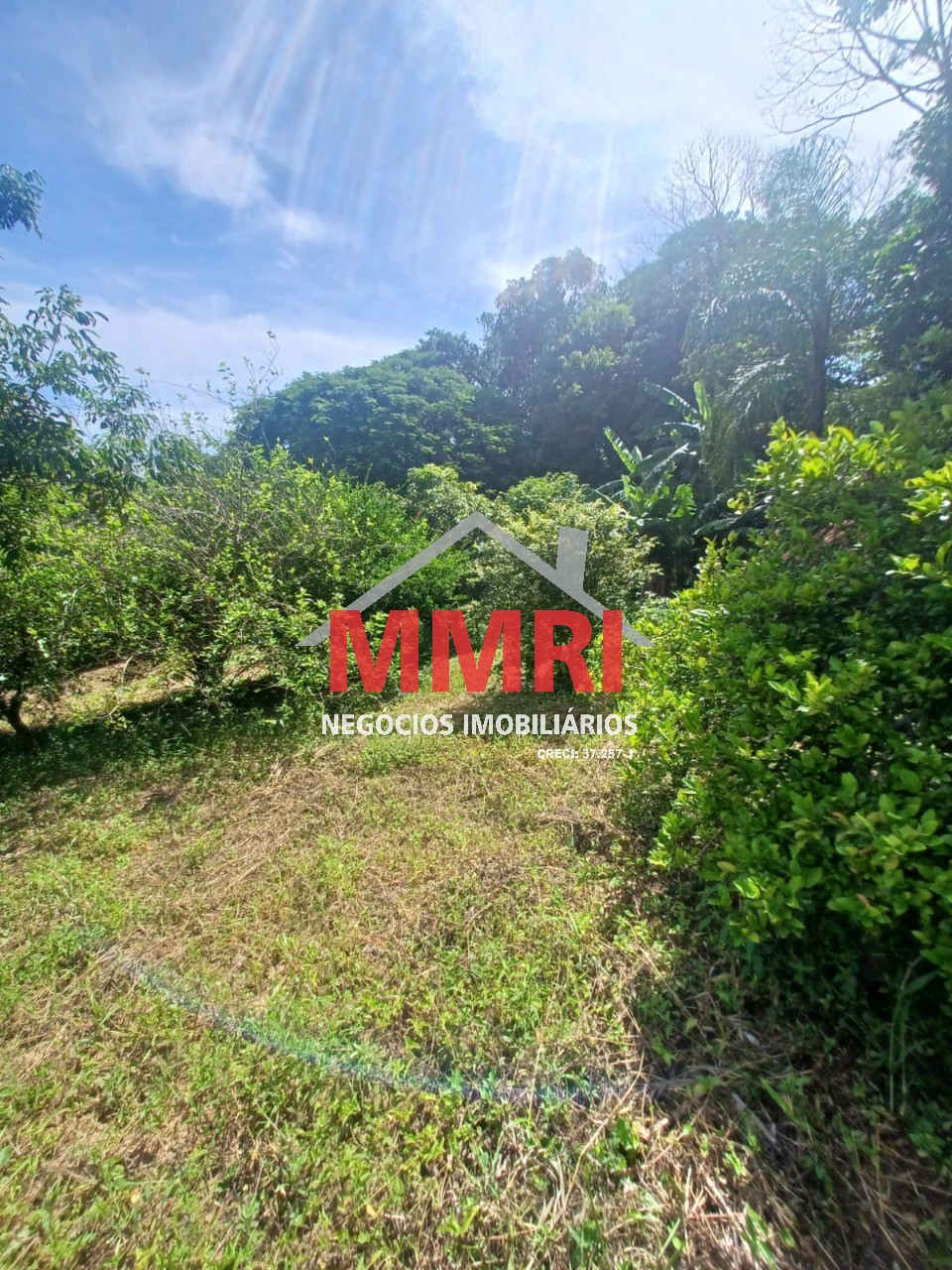 Chácara, 3 quartos, 1100 m² - Foto 15