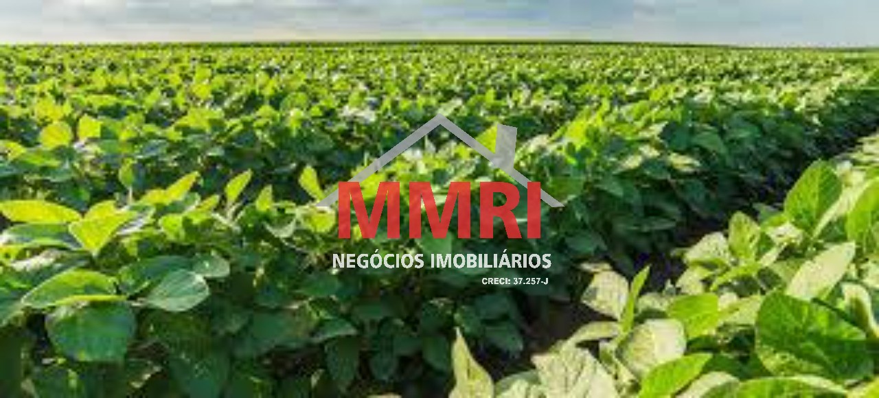 Fazenda, 893 m² - Foto 20