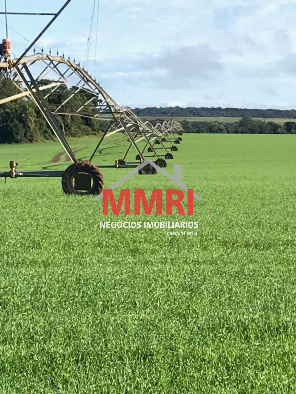 Fazenda, 893 m² - Foto 11