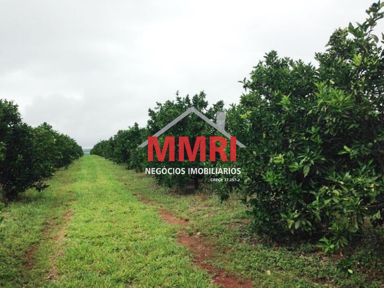 Fazenda, 300 m² - Foto 16