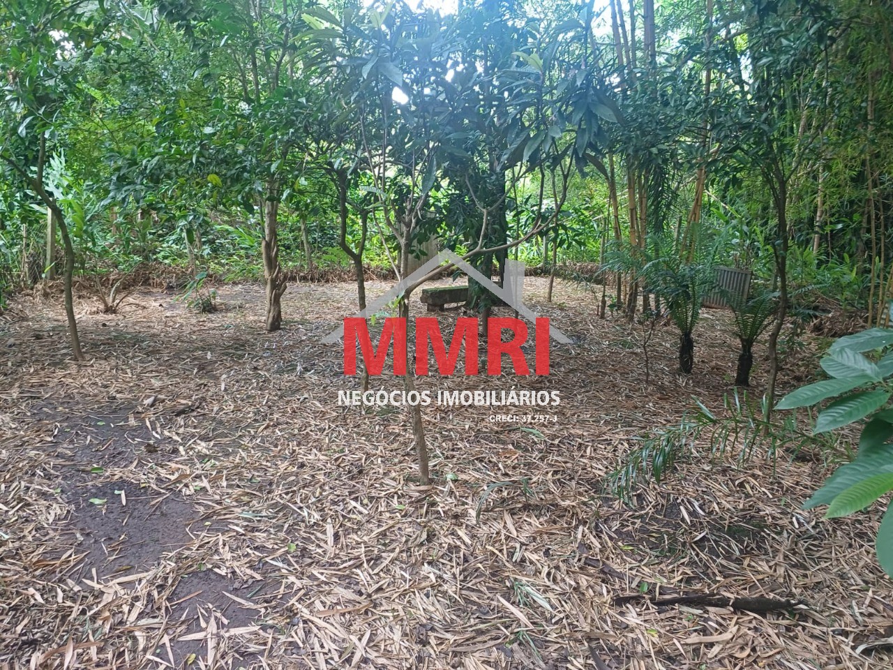 Casa, 2 quartos - Foto 20