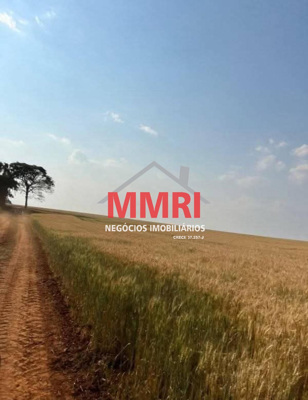 Fazenda, 893 m² - Foto 3