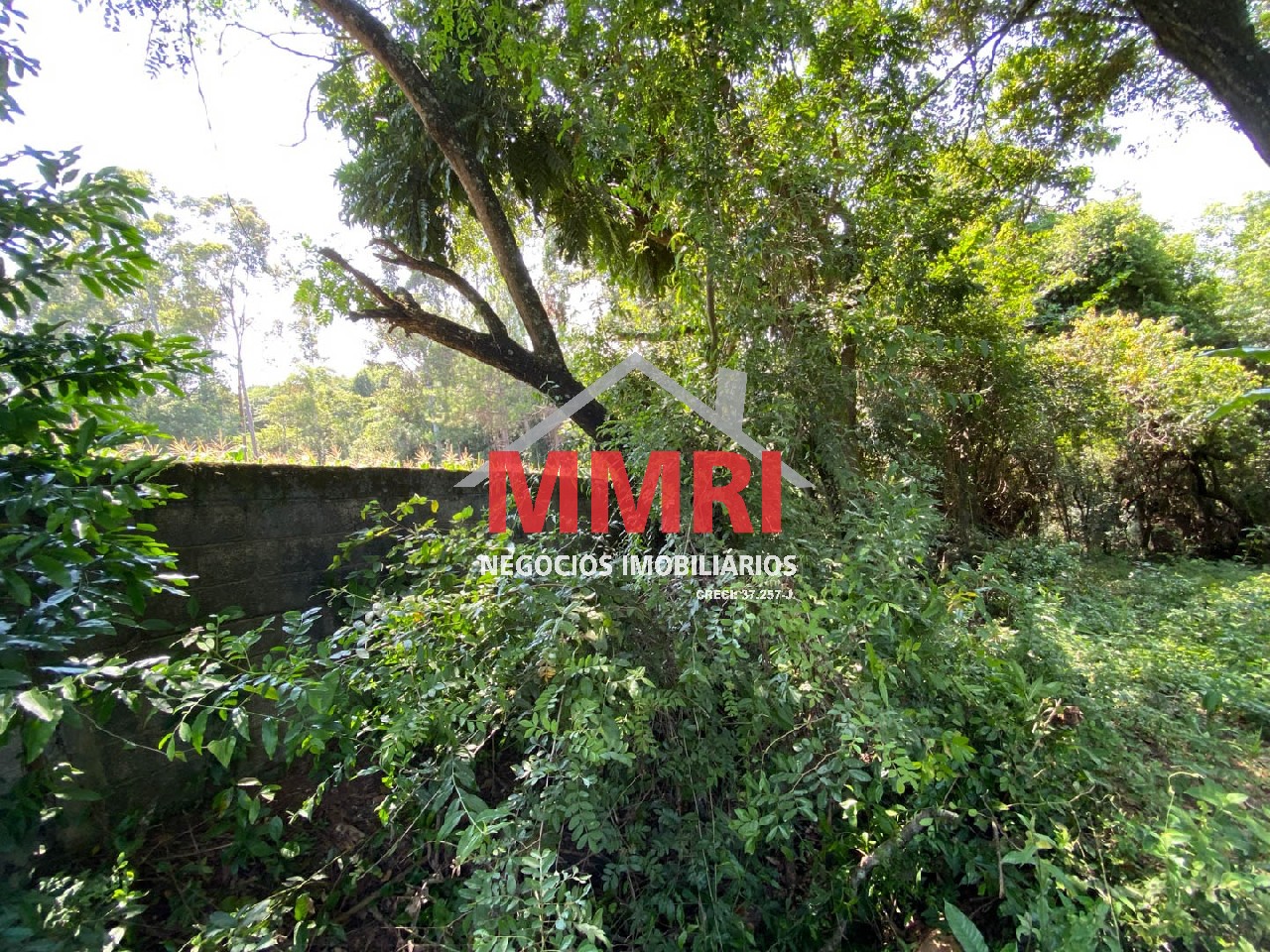 Chácara, 4 quartos, 3218 m² - Foto 81