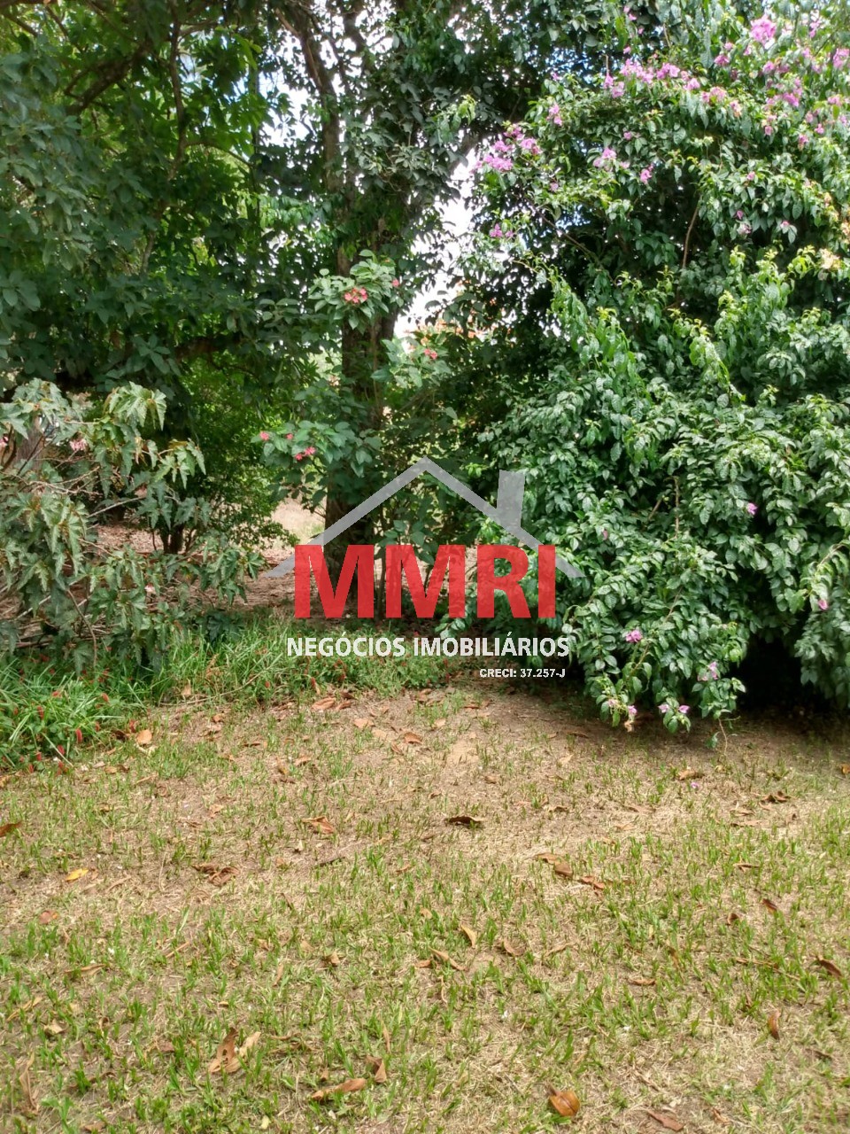 Chácara, 3 quartos, 2000 m² - Foto 4