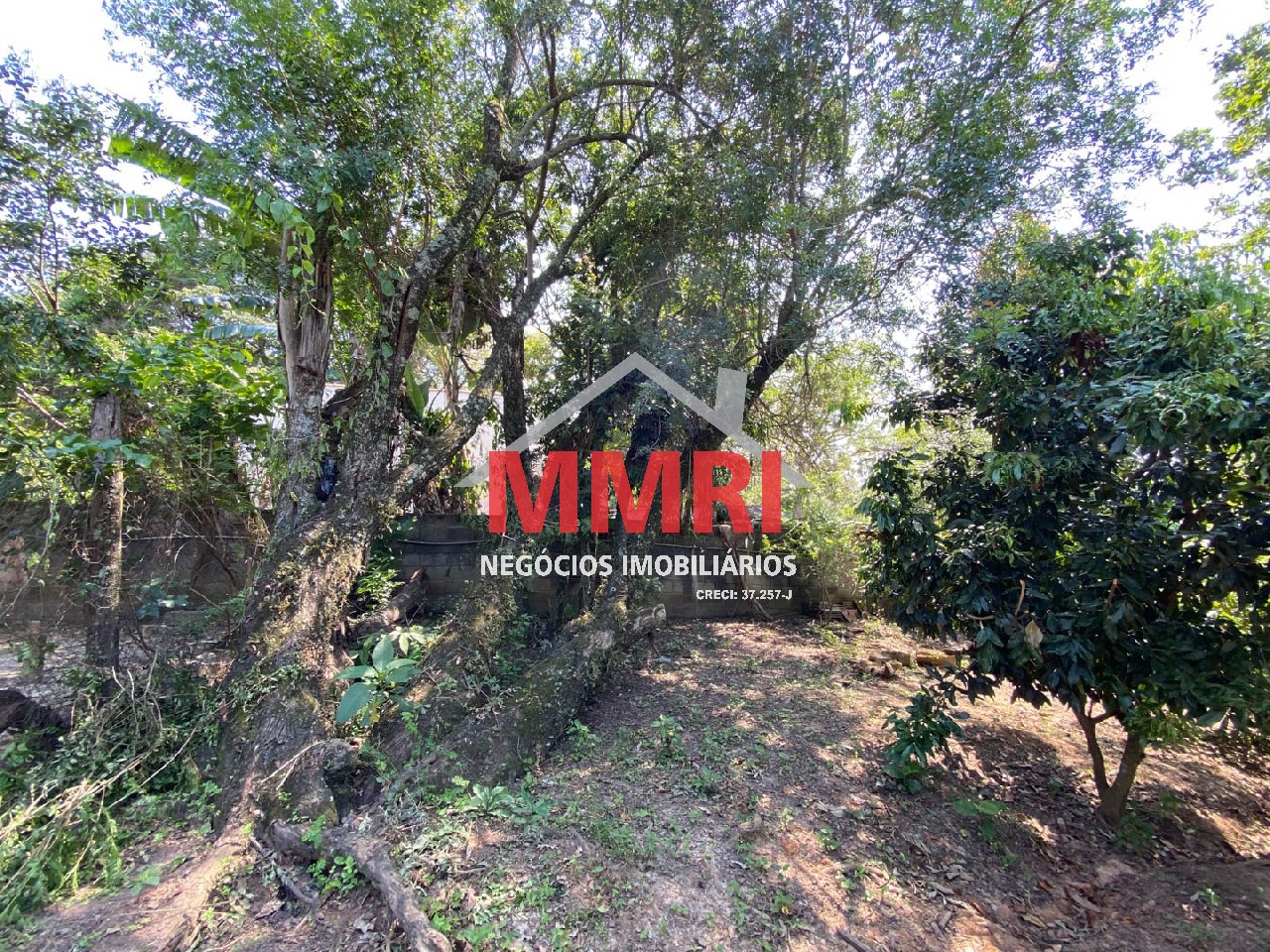 Chácara, 4 quartos, 3218 m² - Foto 83