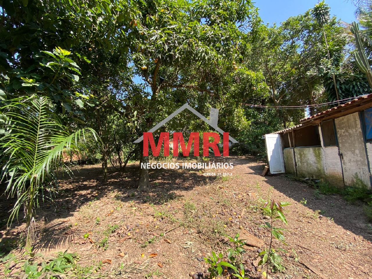 Chácara, 4 quartos, 3218 m² - Foto 65