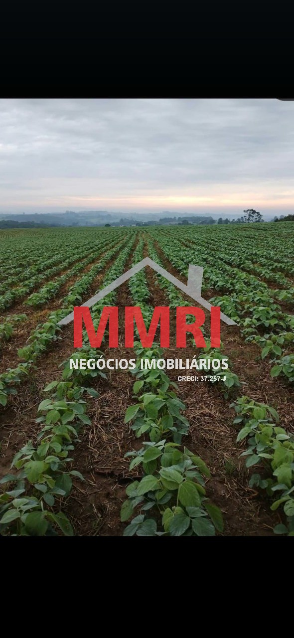 Fazenda, 205 m² - Foto 3