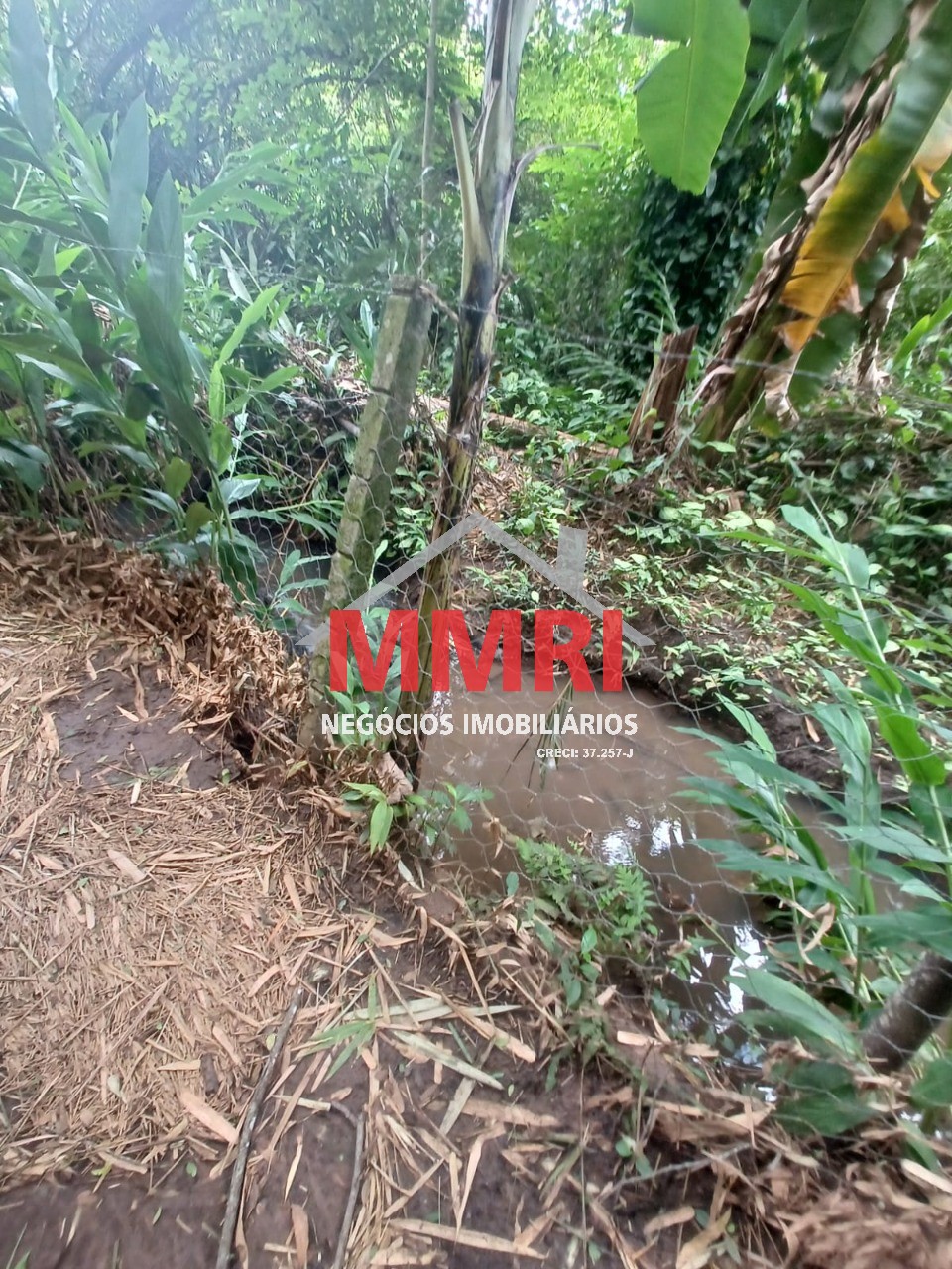 Casa, 2 quartos - Foto 19