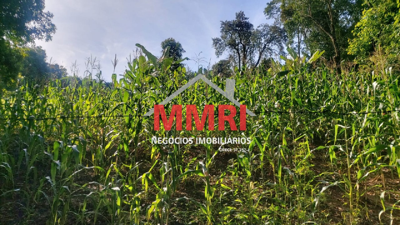 Chácara, 4 quartos, 3218 m² - Foto 104