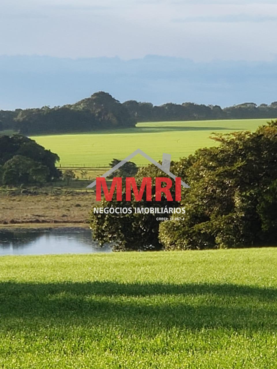 Fazenda, 893 m² - Foto 9