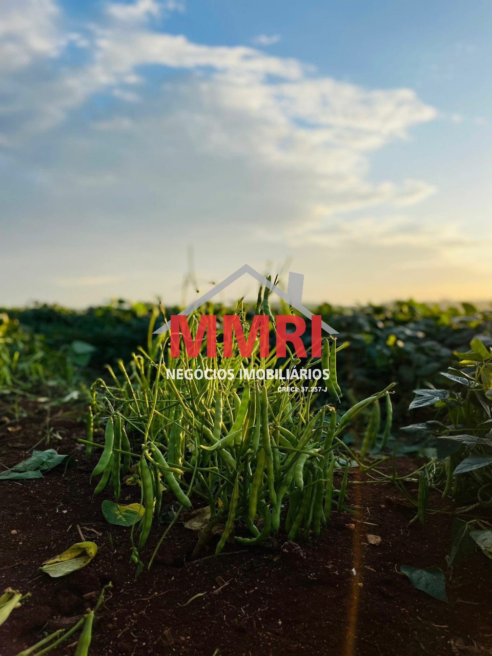 Fazenda, 205 m² - Foto 13