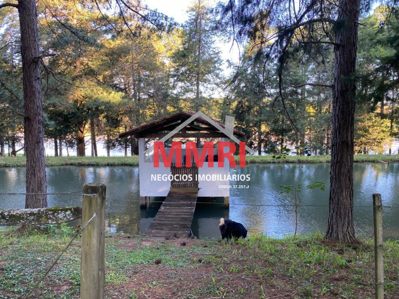 Fazenda, 300 m² - Foto 2