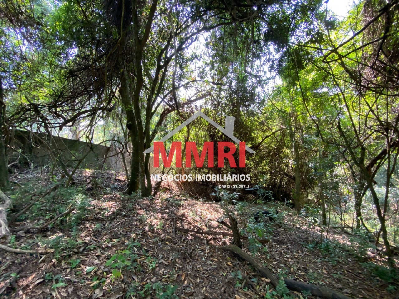 Chácara, 4 quartos, 3218 m² - Foto 77