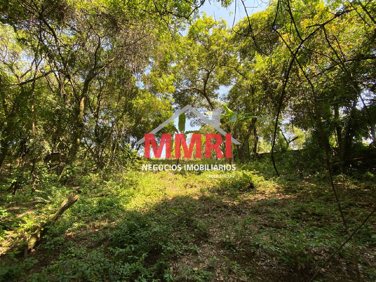 Chácara, 4 quartos, 3218 m² - Foto 78