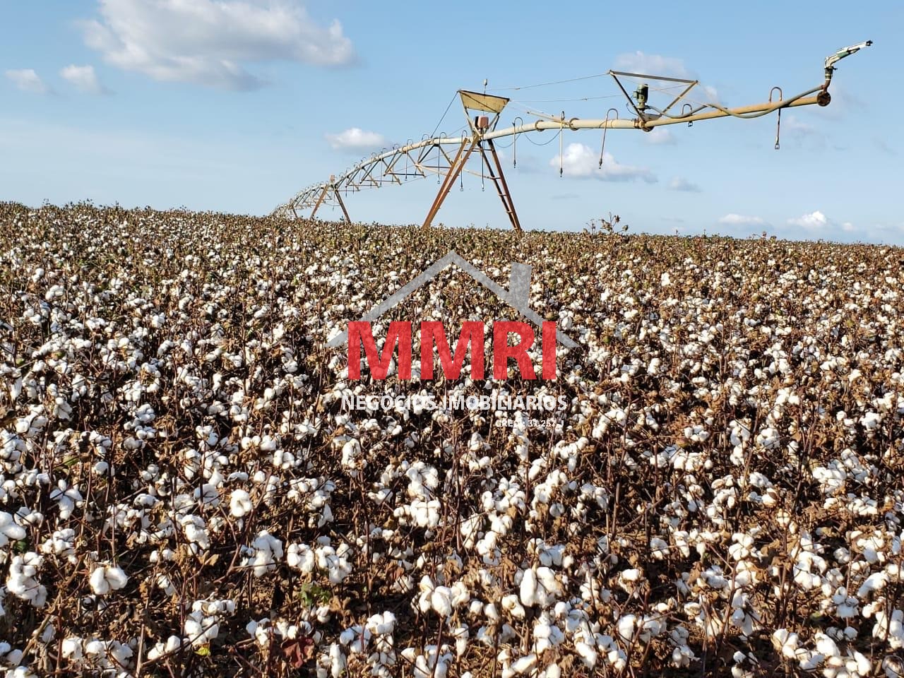Fazenda, 893 m² - Foto 1
