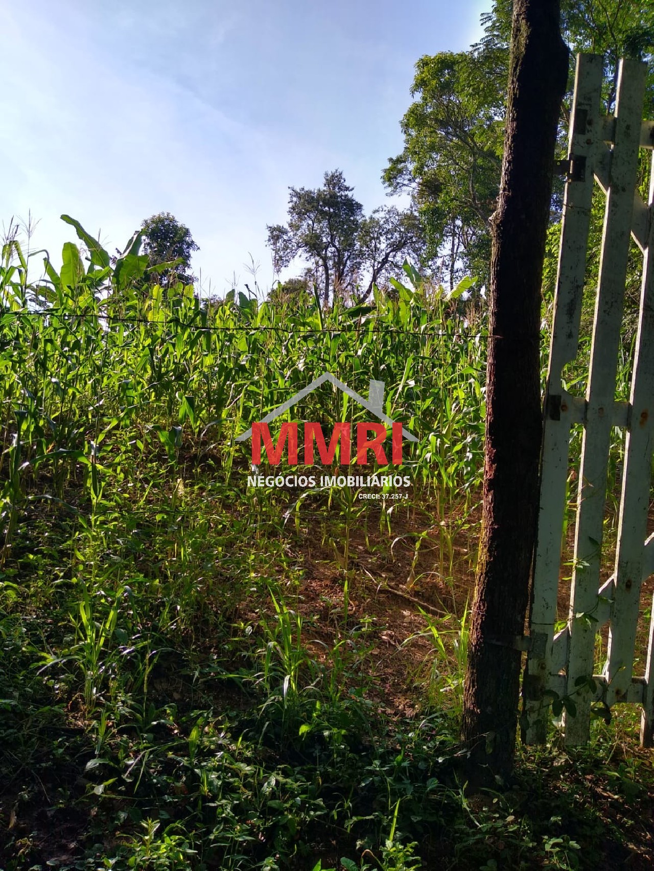 Chácara, 4 quartos, 3218 m² - Foto 89