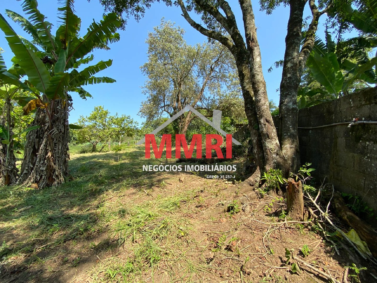 Chácara, 4 quartos, 3218 m² - Foto 70